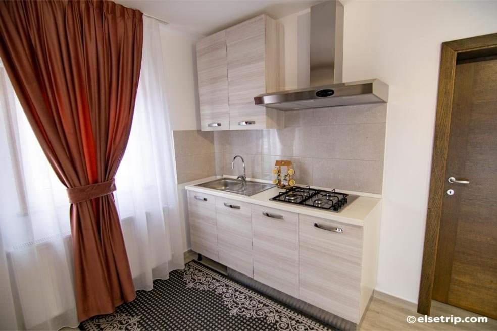 Pensiunea Hantig Tura Borşa エクステリア 写真