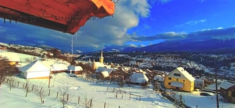 Pensiunea Hantig Tura Borşa エクステリア 写真
